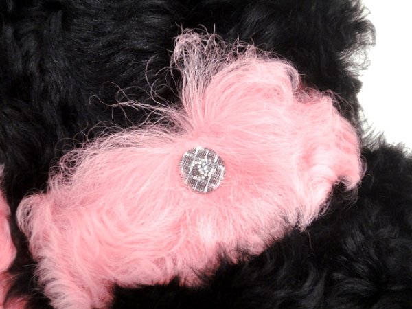 画像6: 【新品】【未使用品】AW 新作 CHANEL シャネル P71746 C63182 NF590 ココマーク シアリング ロングベスト 36 シアリングラムスキン ブラック×ピンク CC 21K アウター コート ファッション レディース 女性用 ブランド プレゼント ギフト (6)